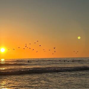 Meet your Posher, Leilani